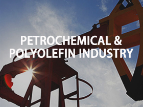 Petrochemical & Polyolefin industry